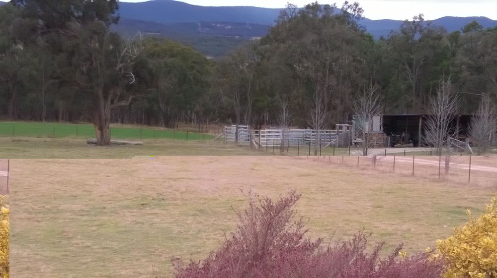 Real Estate in Tenterfield