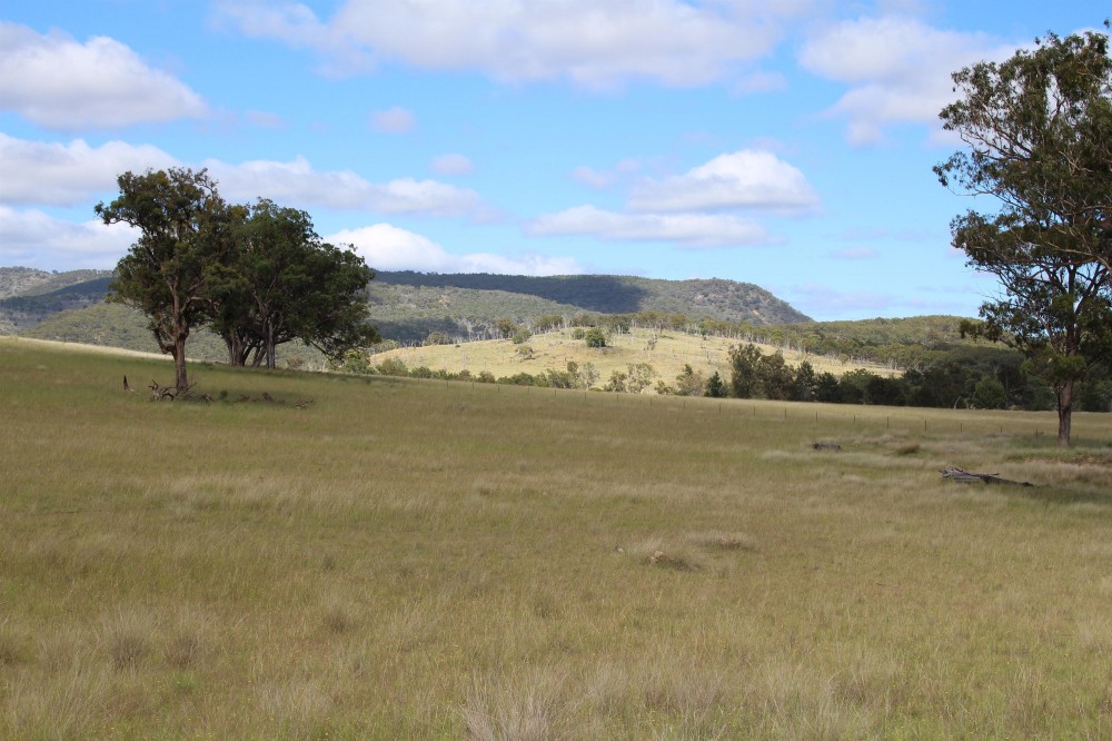 Tenterfield Properties Sold