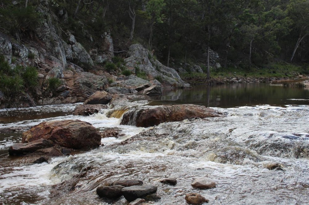 Selling your property in Tenterfield