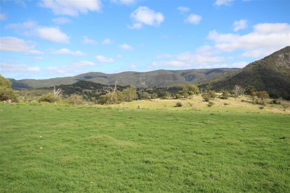 Real Estate in Tenterfield