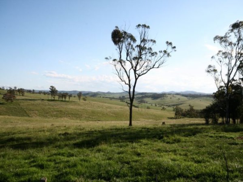 Open for inspection in 