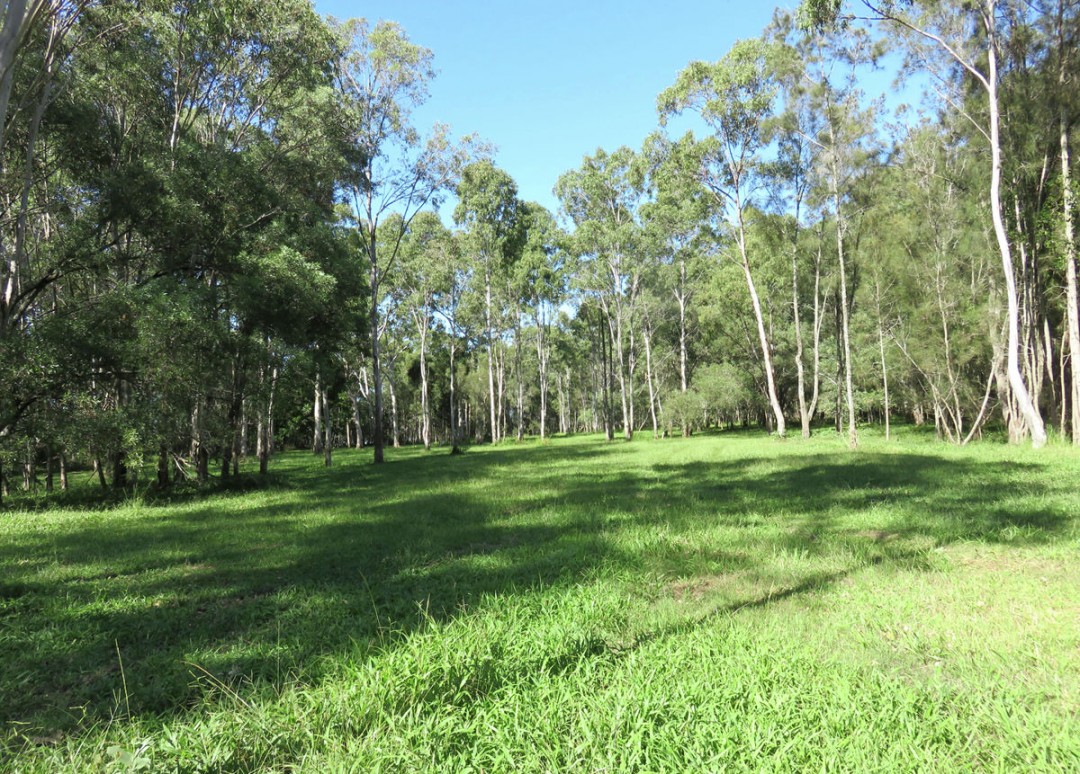 Goodwood Island Road, Goodwood Island > Real Estate Of Distinction