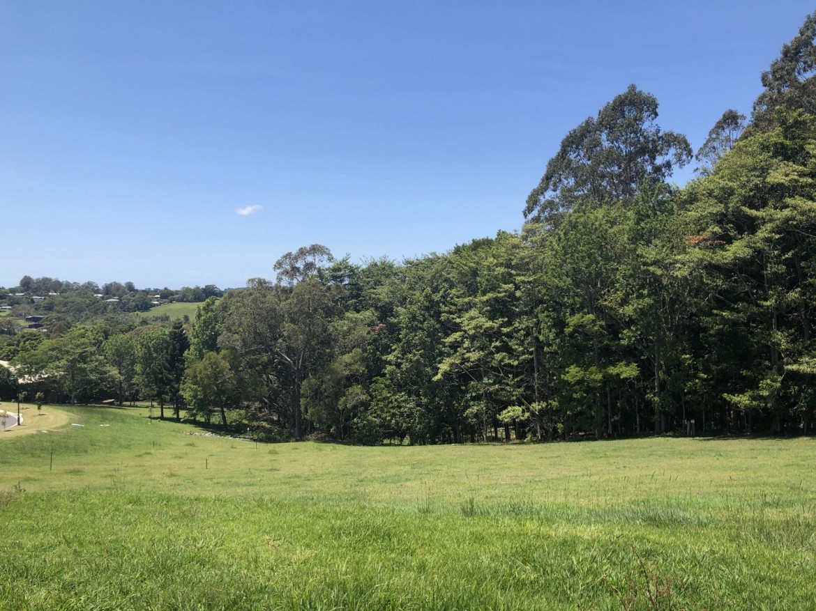 Lot 3 Knolls Court, Maleny > Maleny Realty Real Estate Maleny Land