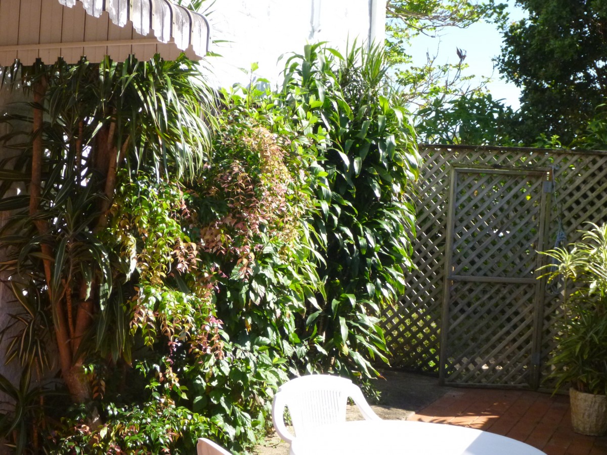 Real Estate in Iluka