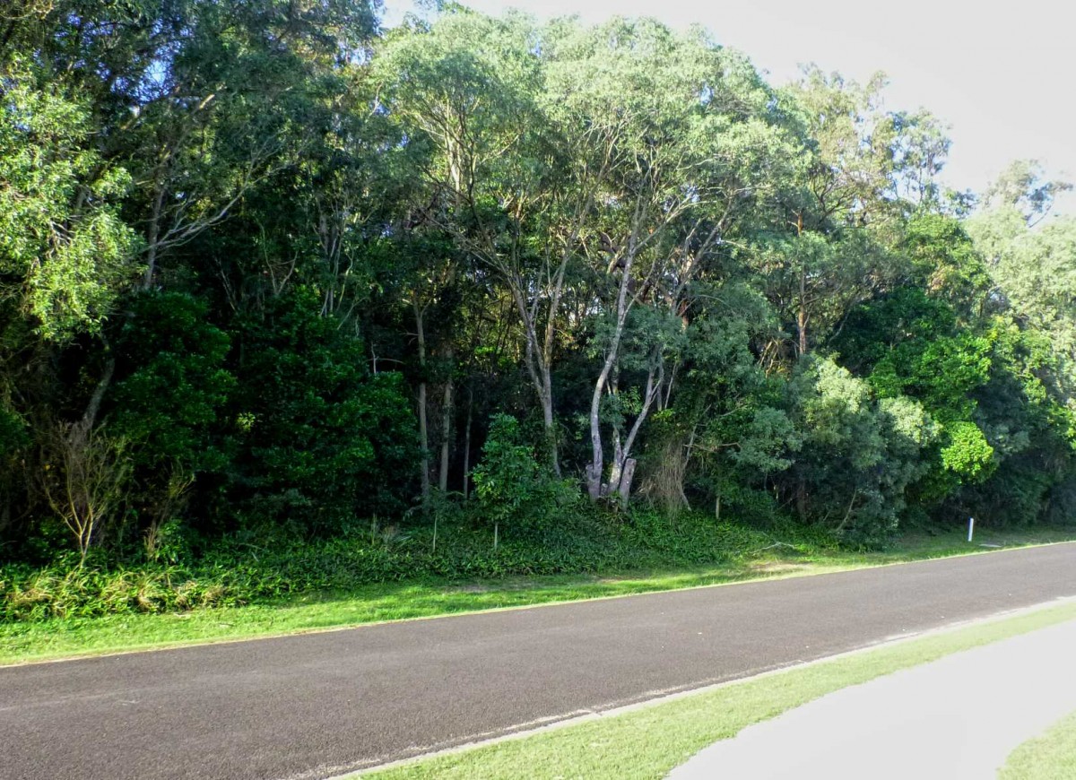 Real Estate in Iluka