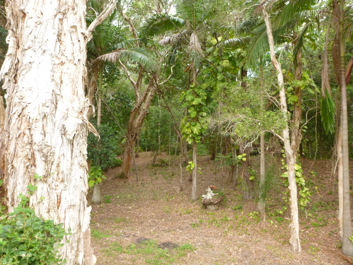 Real Estate in Iluka