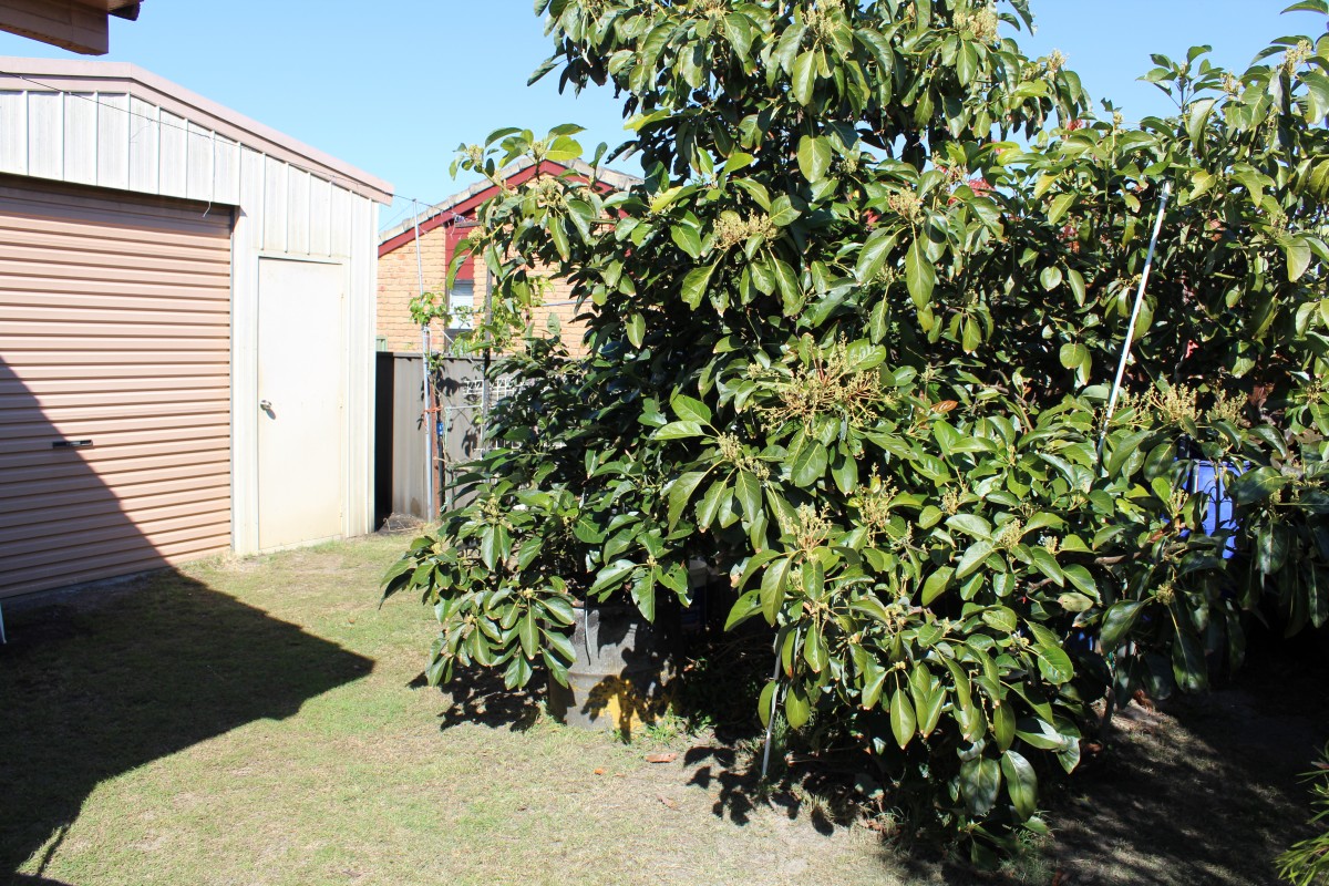 Real Estate in Iluka