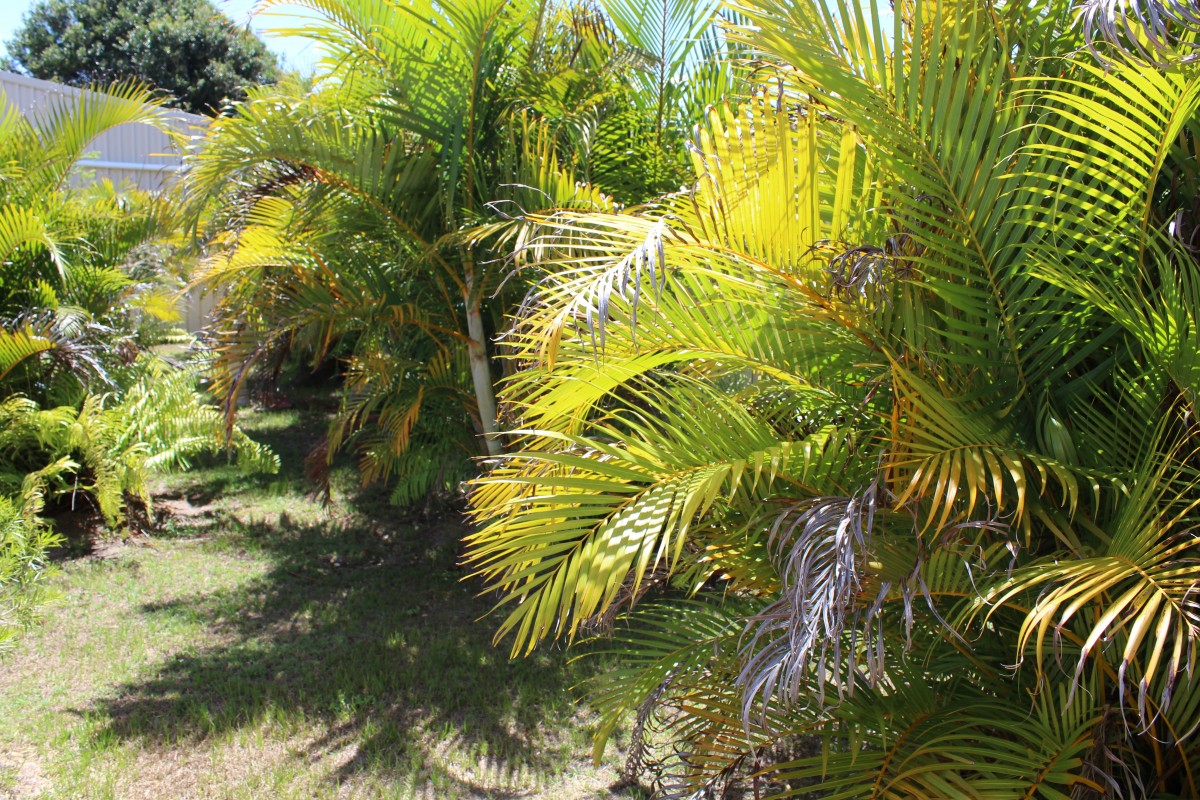 Real Estate in Iluka