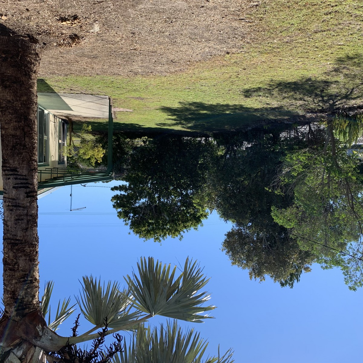 Real Estate in Iluka