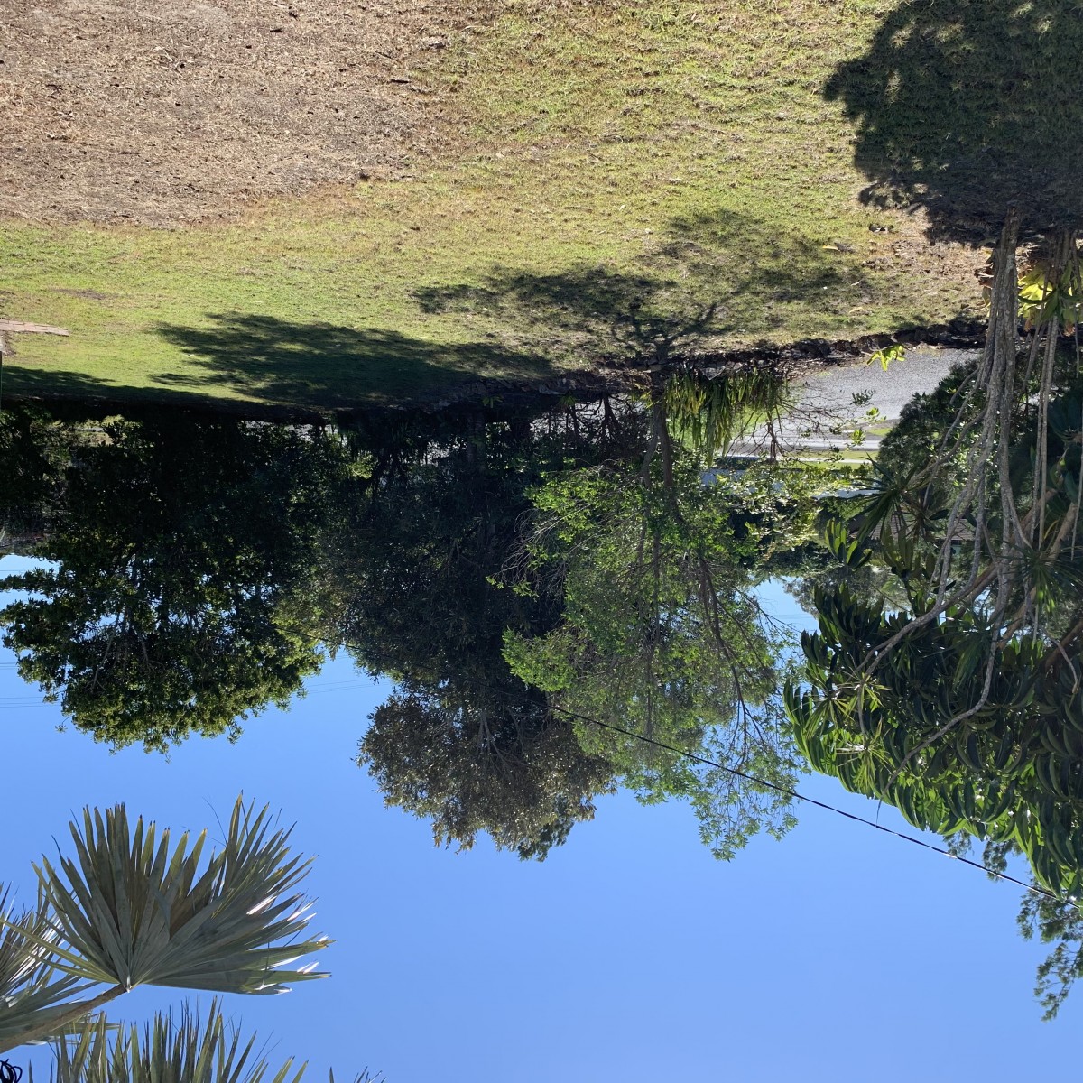 Real Estate in Iluka