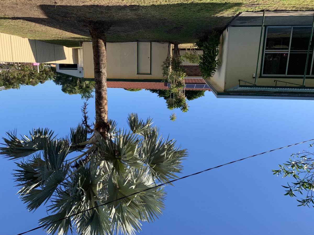 Real Estate in Iluka