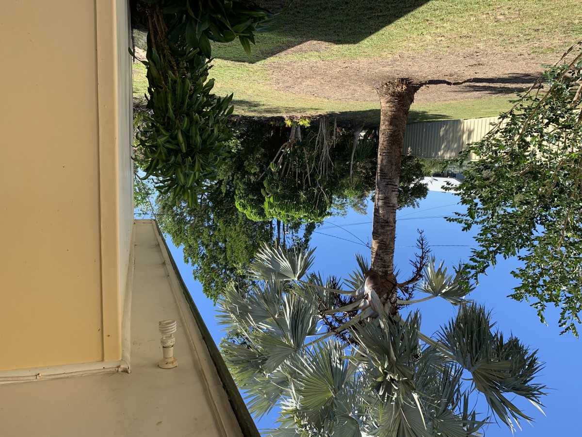 Real Estate in Iluka