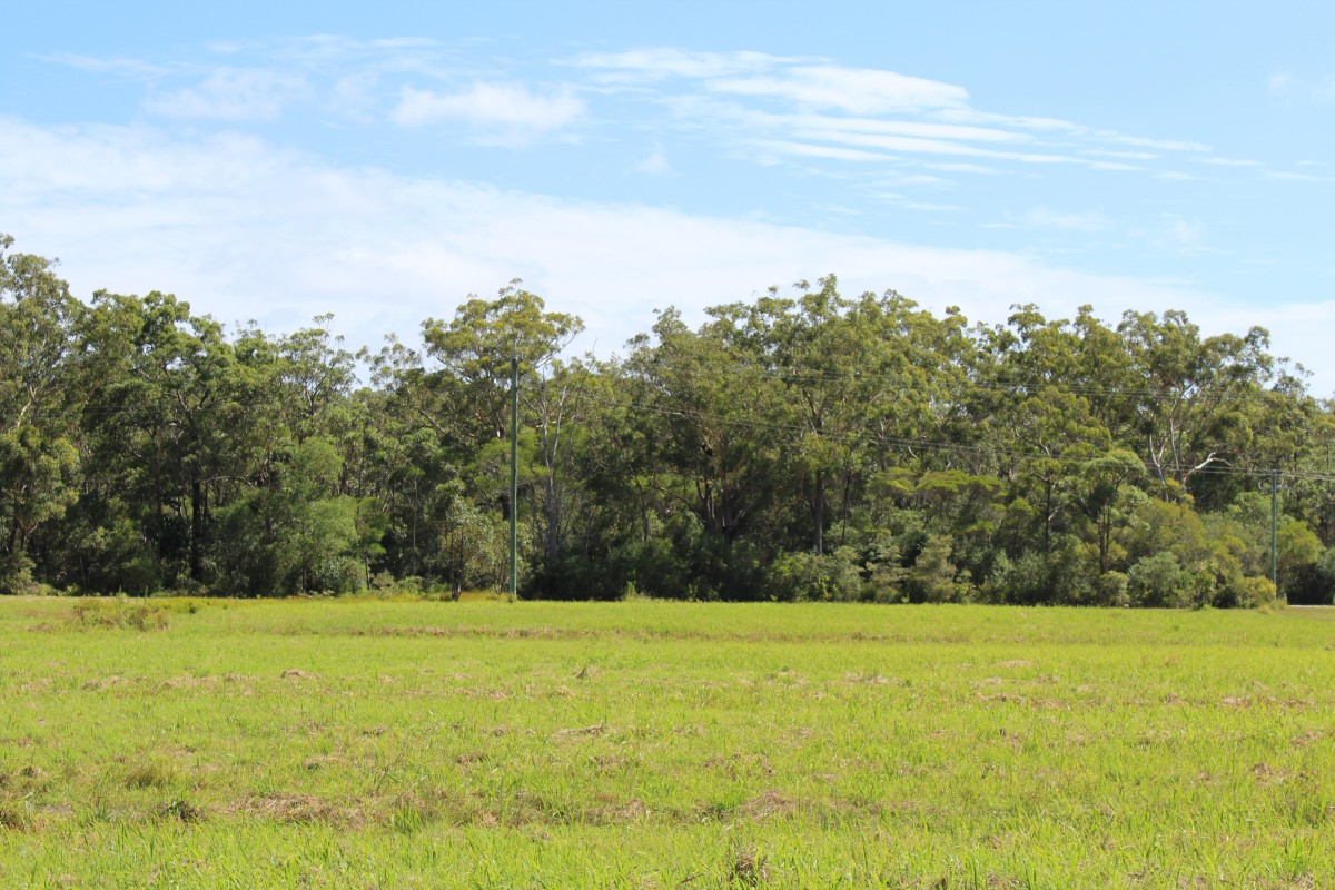 Woombah real estate Sold