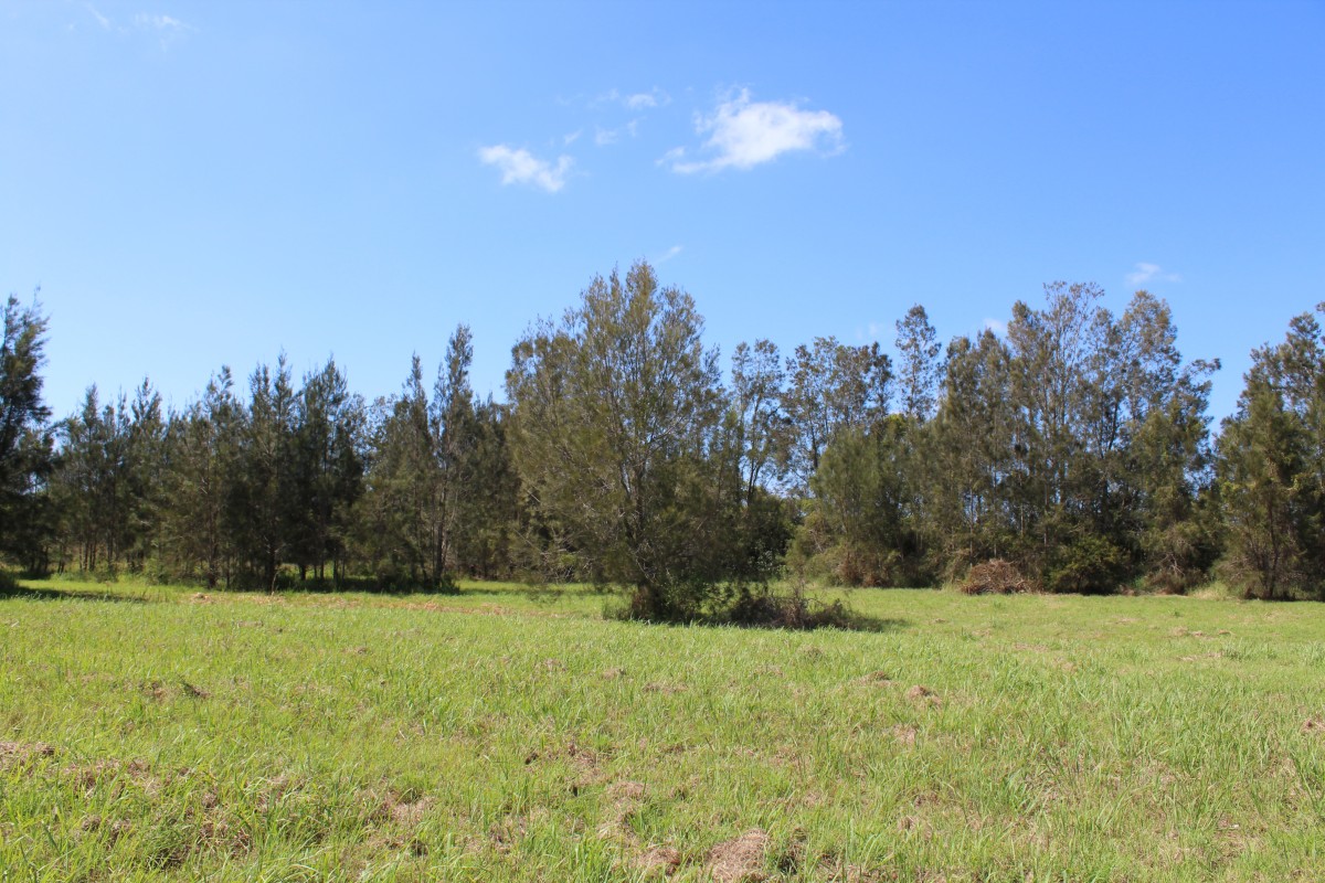 Selling your property in Woombah