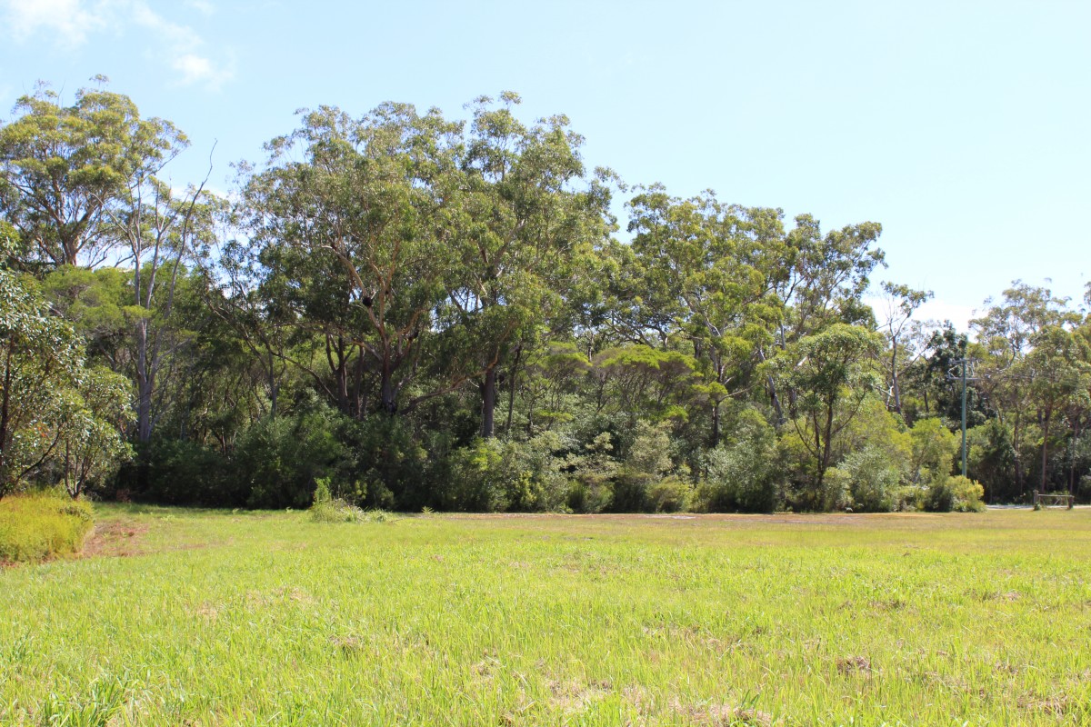 Real Estate in Woombah