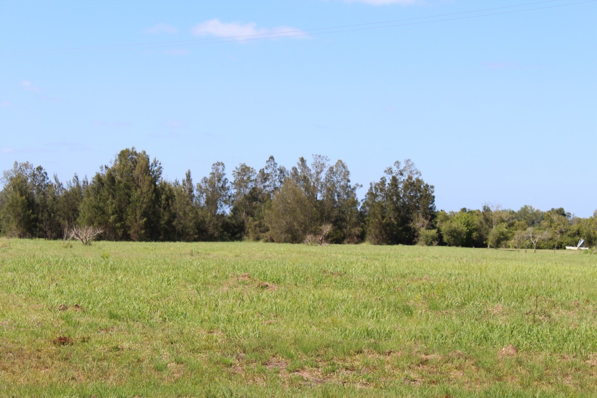 Real Estate in Woombah