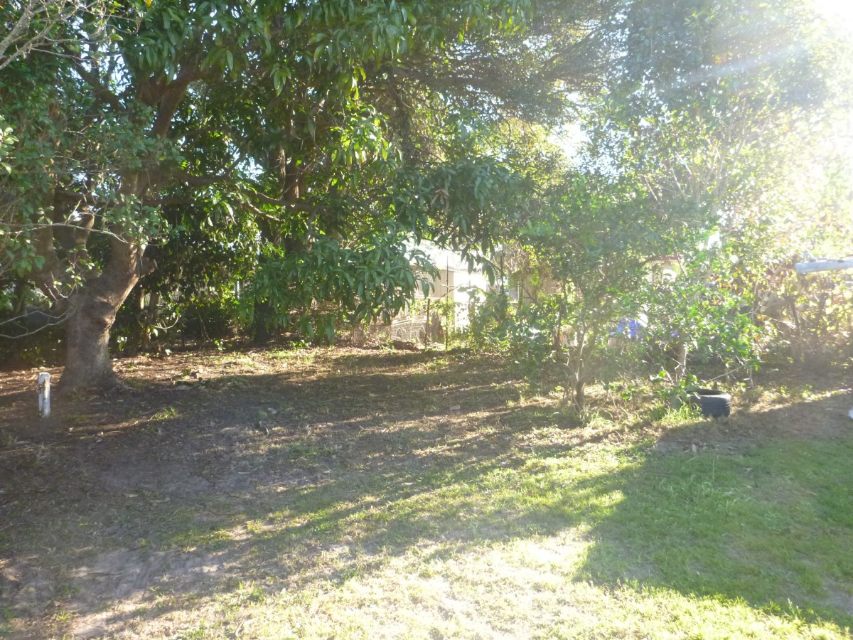 Real Estate in Iluka