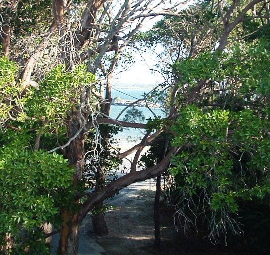 Selling your property in Iluka