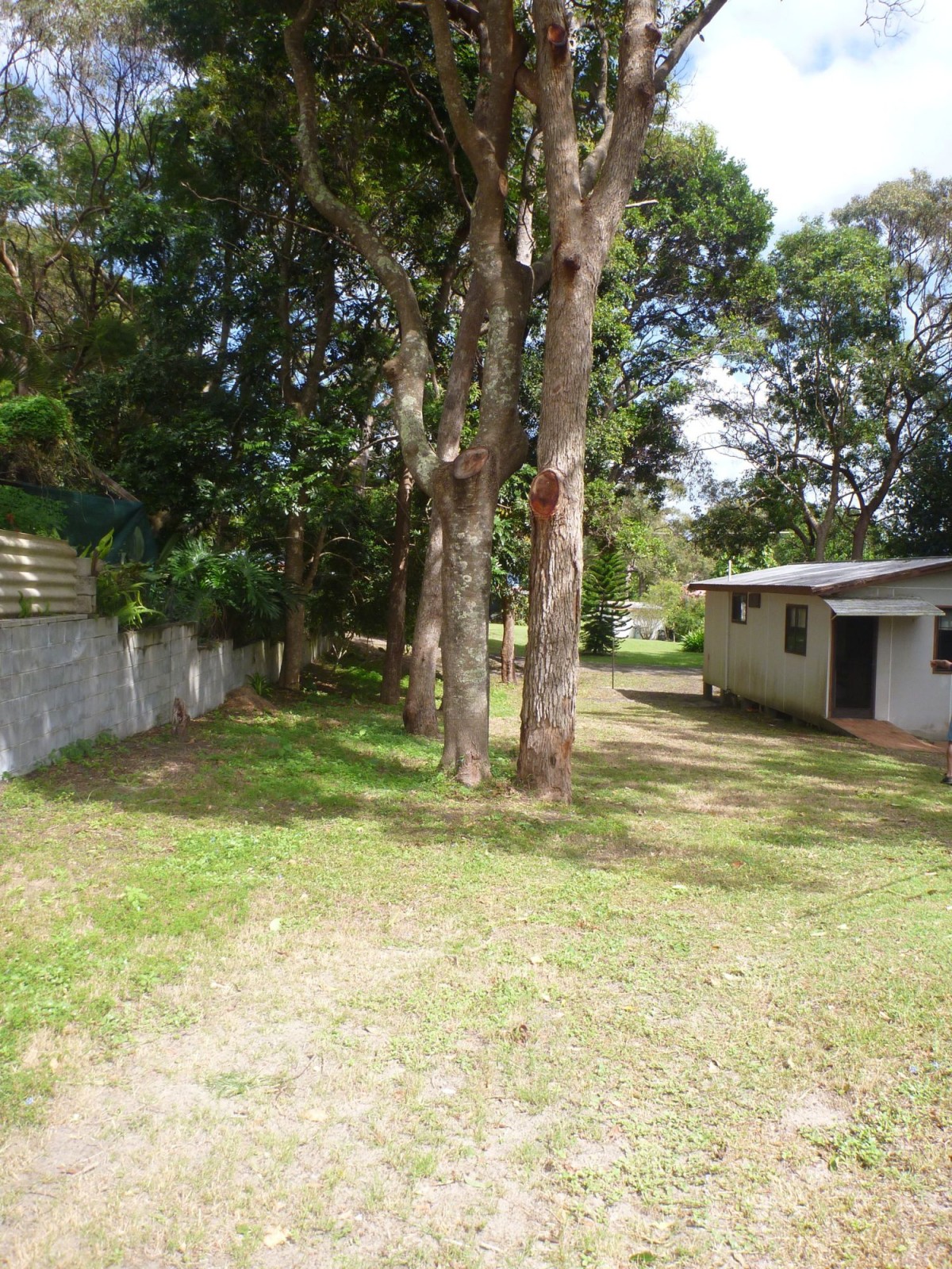 Real Estate in Iluka