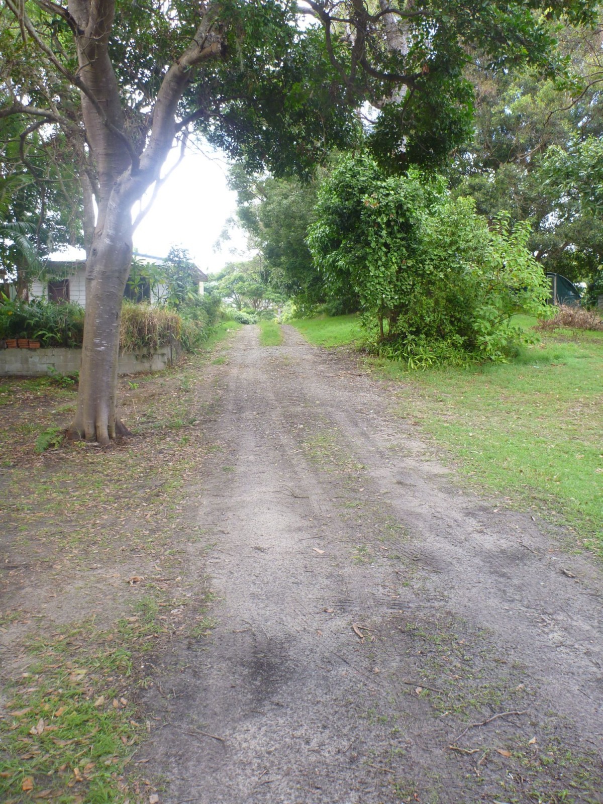 Real Estate in Iluka