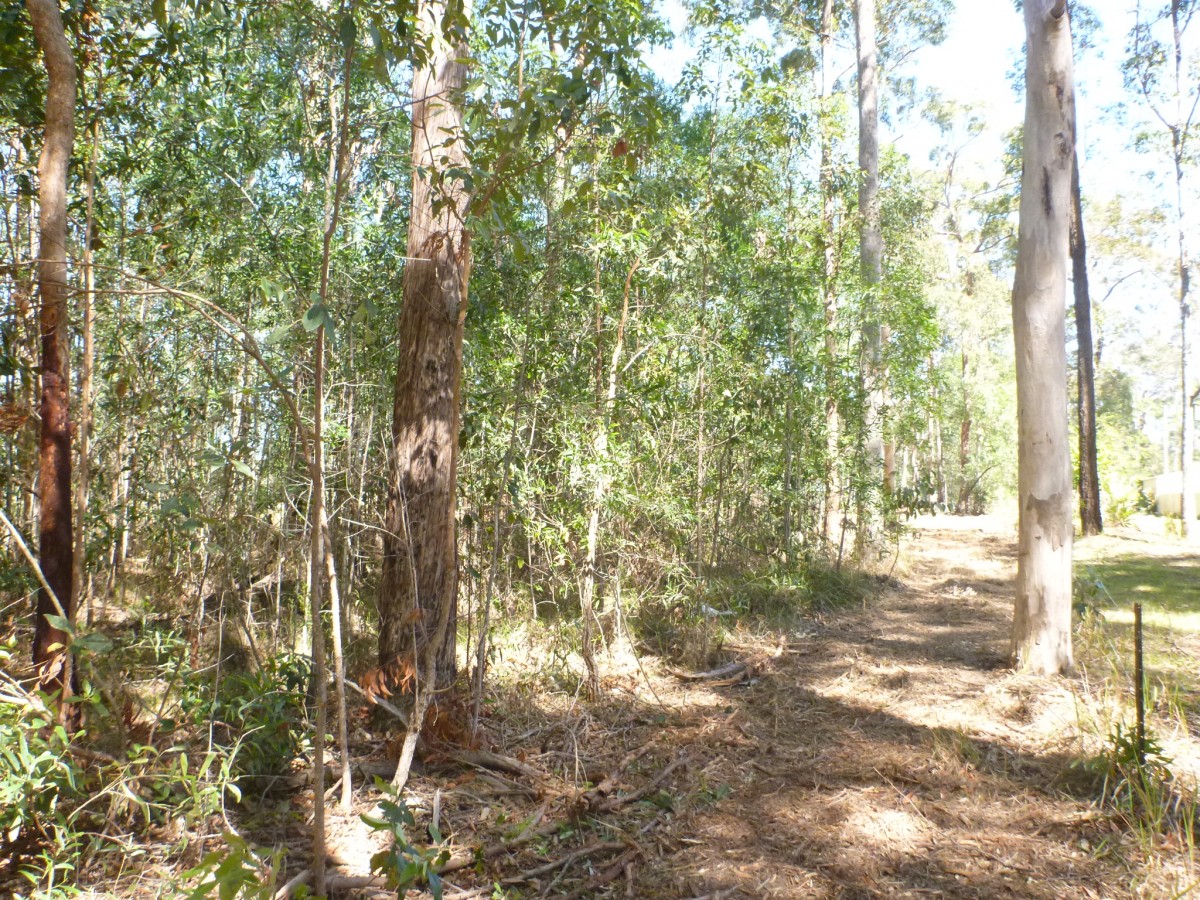 Woombah real estate Sold