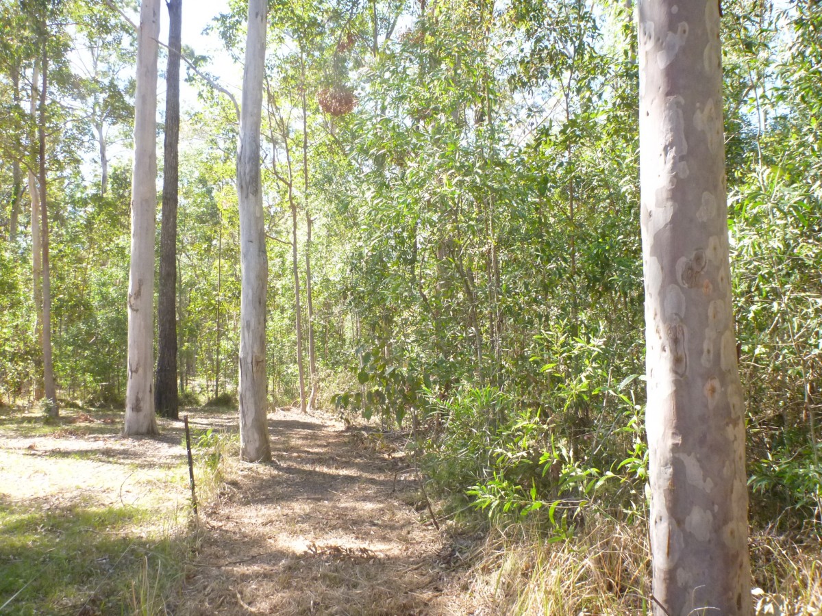 Real Estate in Woombah