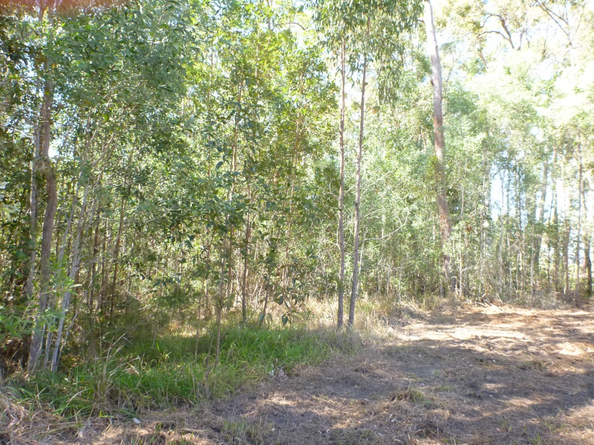 Open for inspection in Woombah