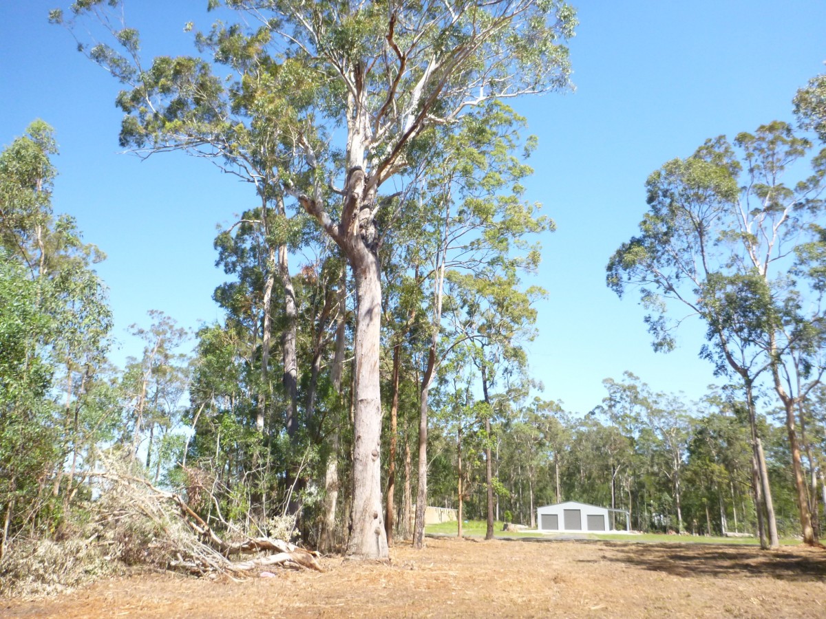 Selling your property in Woombah