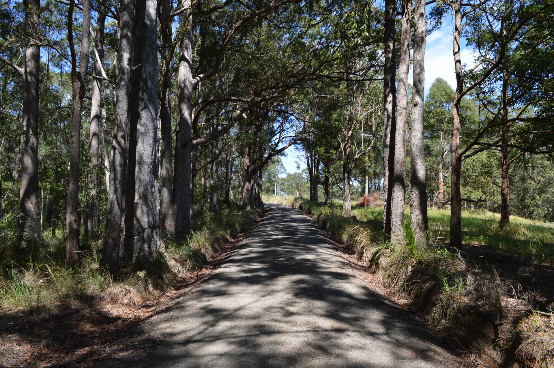 Property For Sale in Curramore