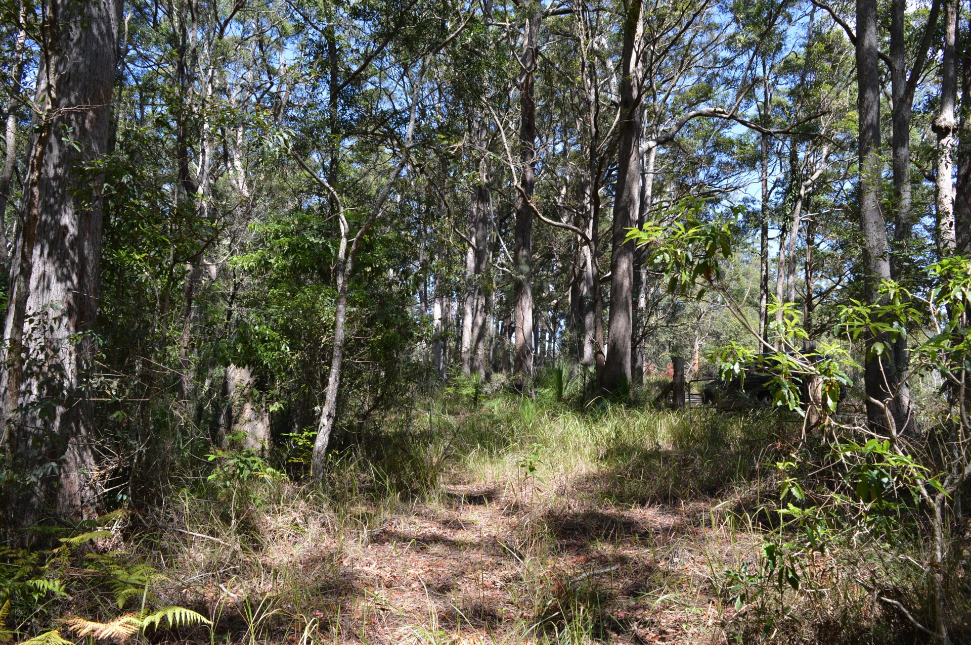 Curramore Properties For Sale