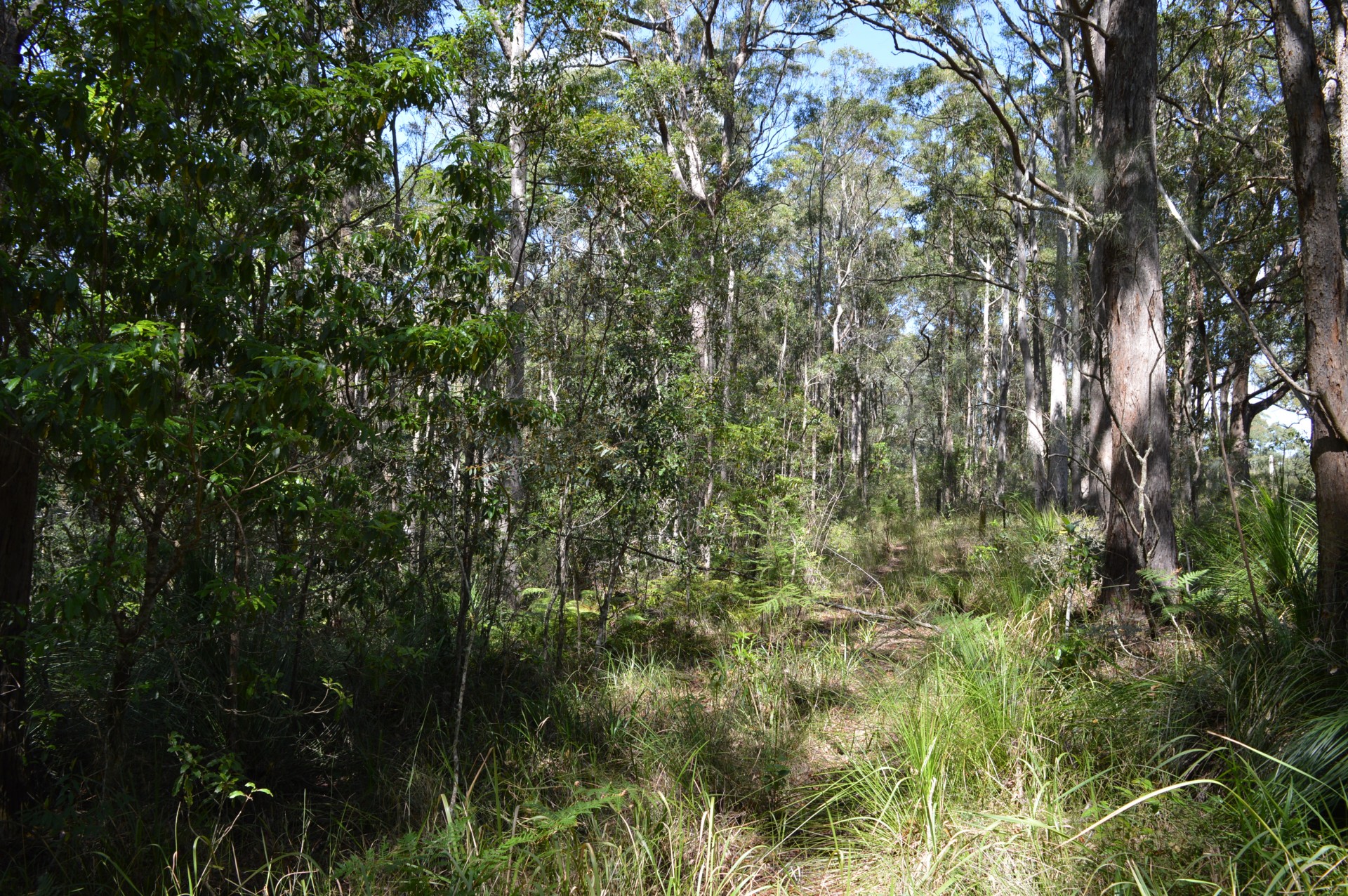 Curramore real estate For Sale