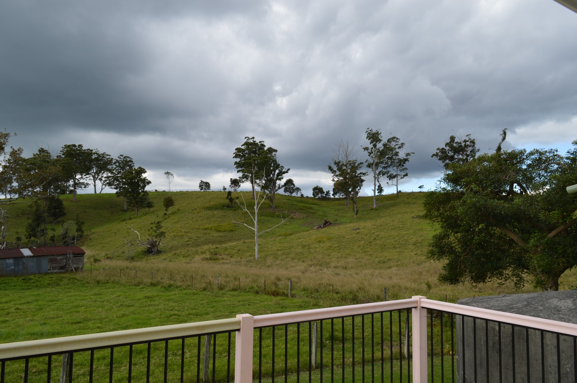 Real Estate in Bellthorpe