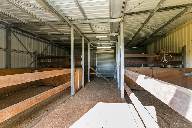 Real Estate in Kidaman Creek