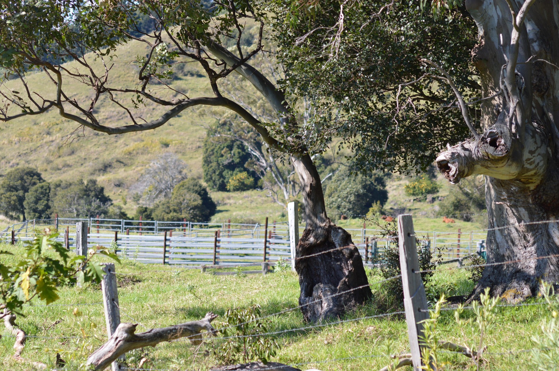 Selling your property in 