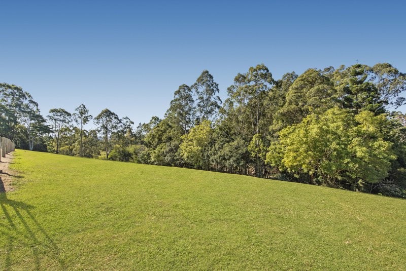 Real Estate in Maleny