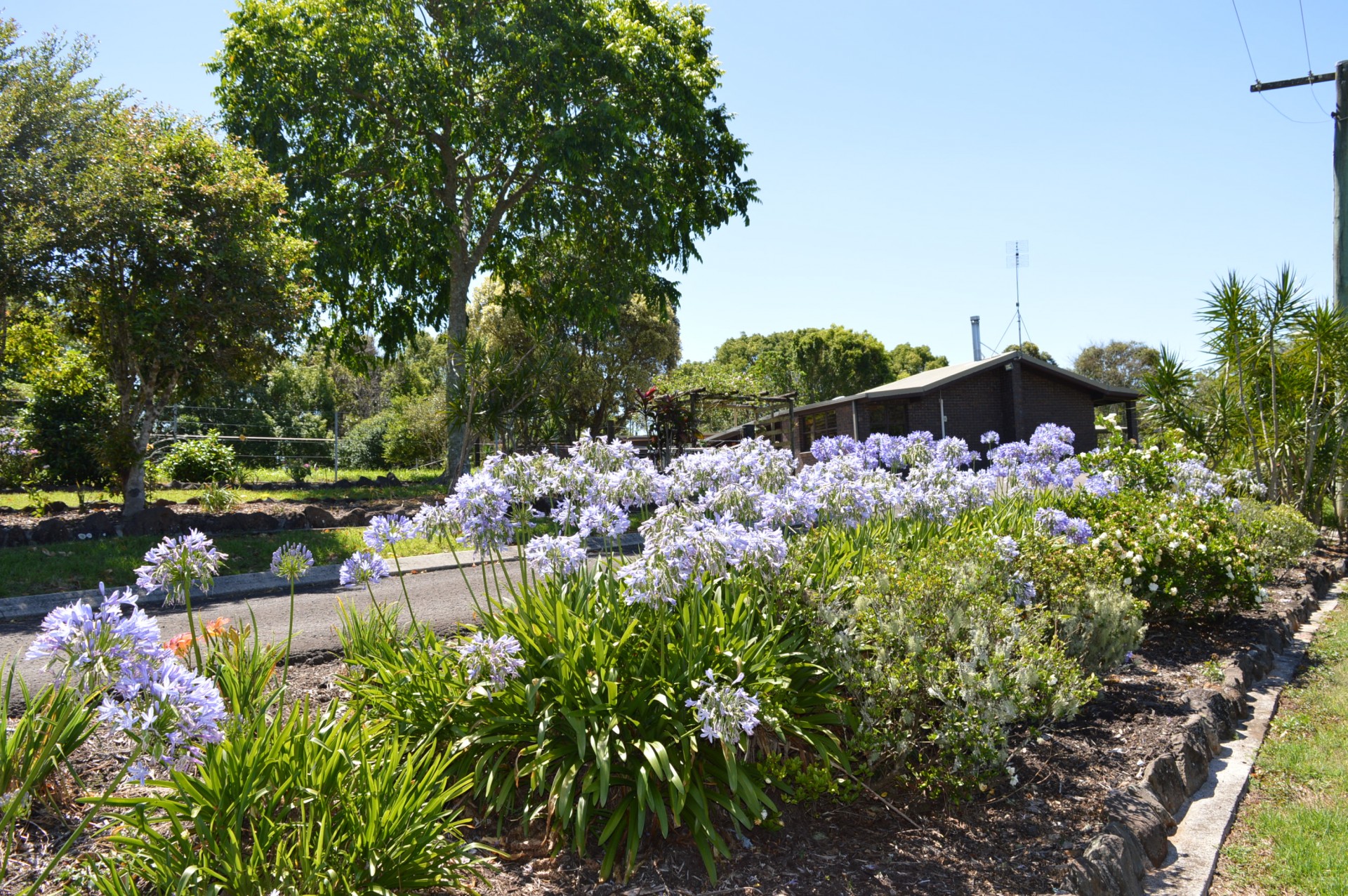 Real Estate in Maleny
