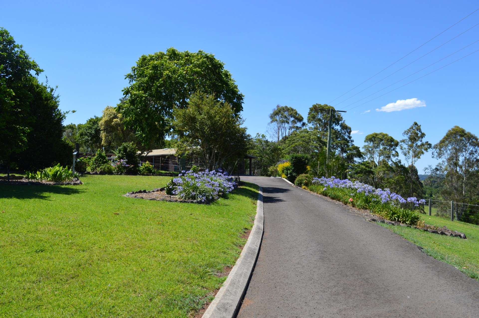Real Estate in Maleny