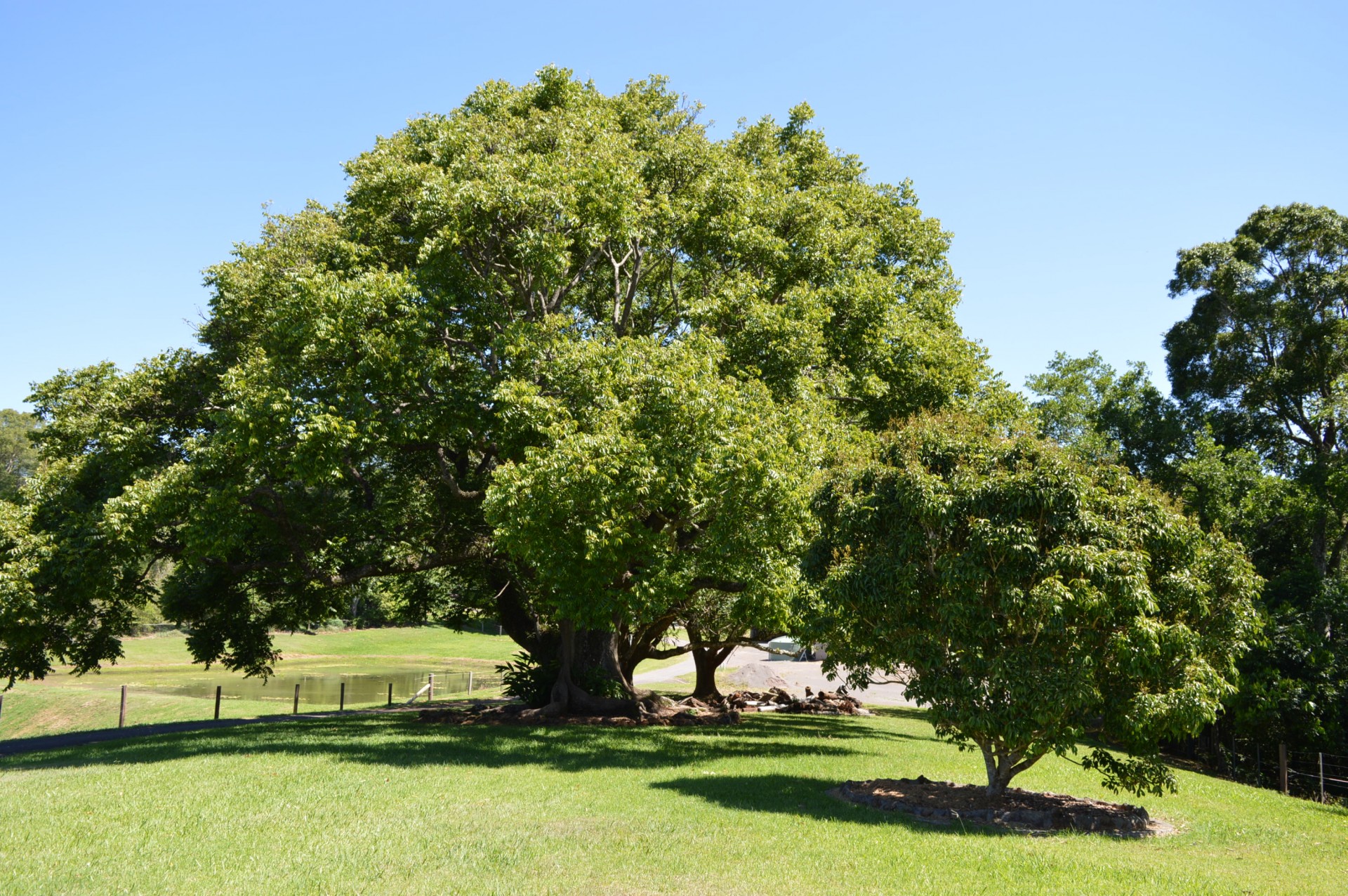 Real Estate in Maleny