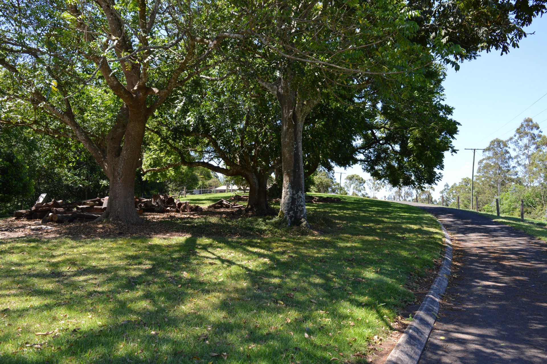 Real Estate in Maleny