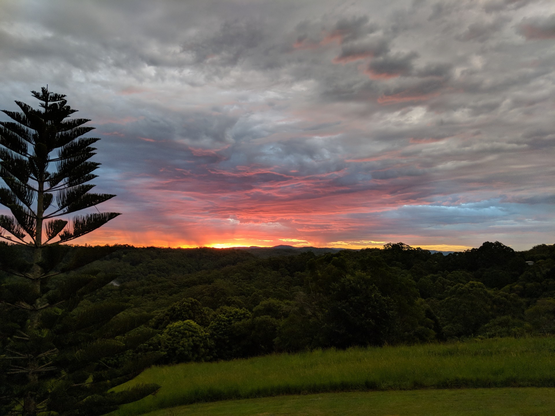 Real Estate in Flaxton