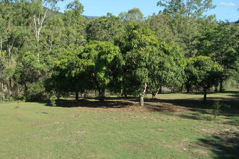 Real Estate in Moy Pocket