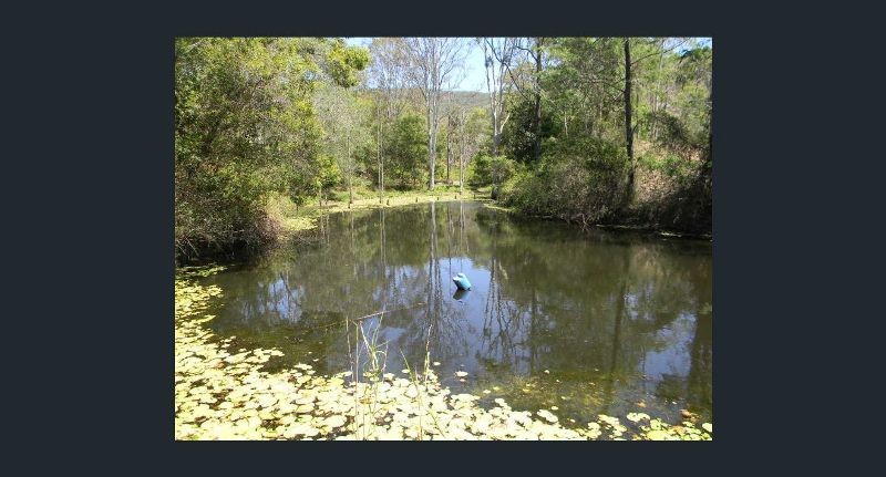 Real Estate in Moy Pocket