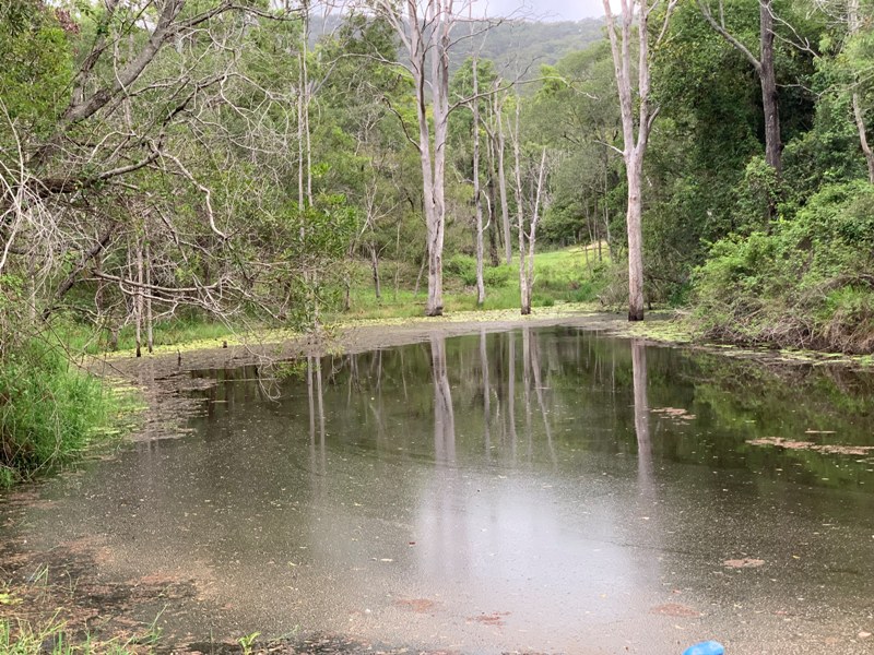 Real Estate in Moy Pocket