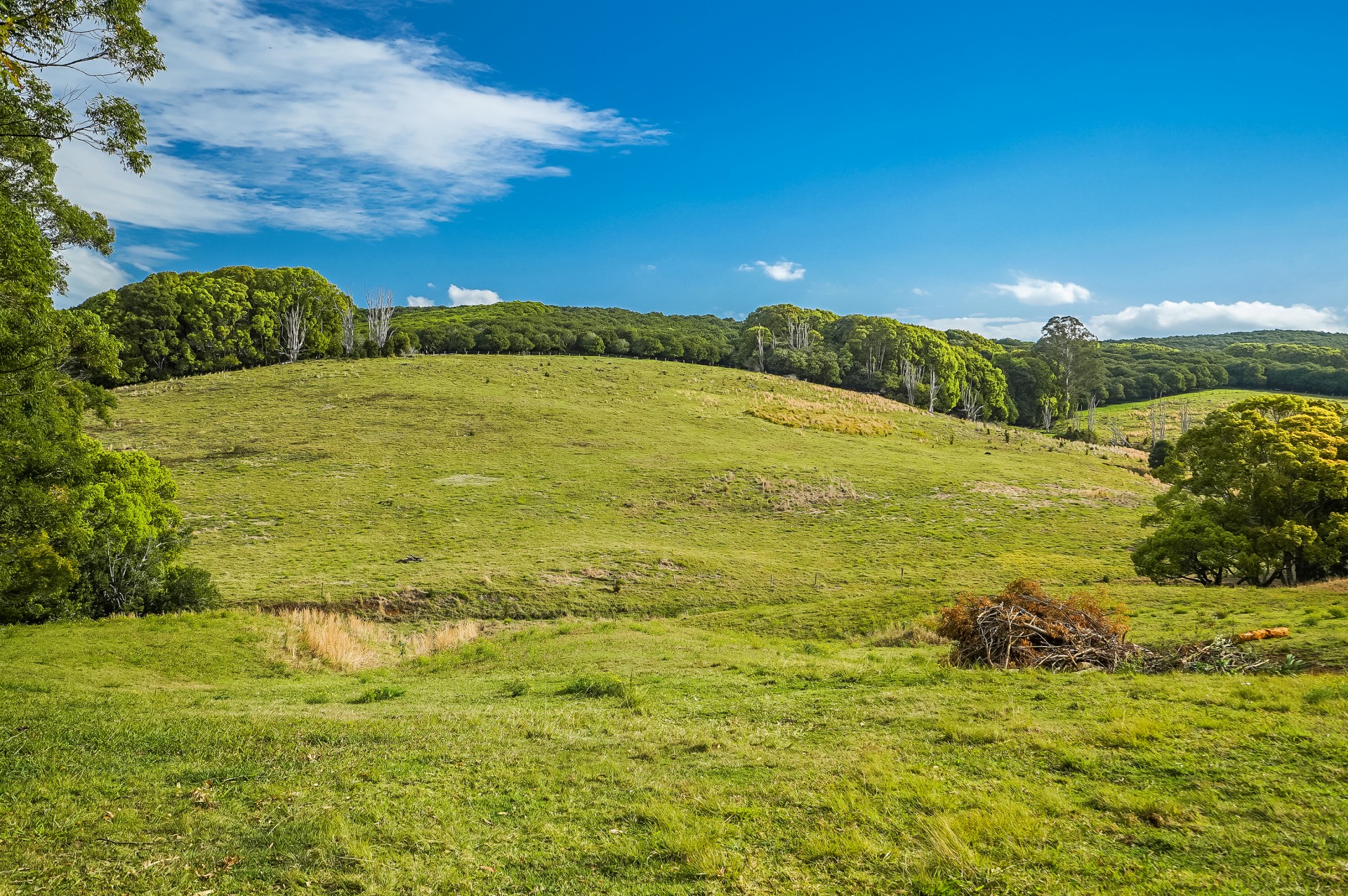 Real Estate in Bangalow