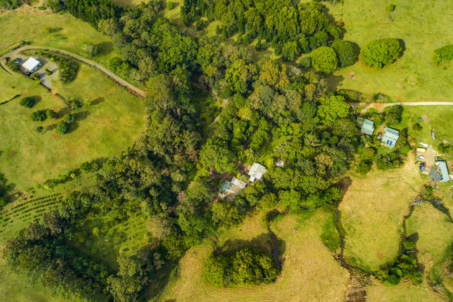 Real Estate in Bangalow