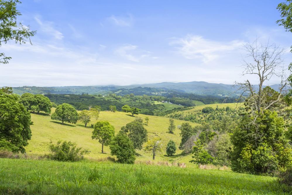 Real Estate in Eureka