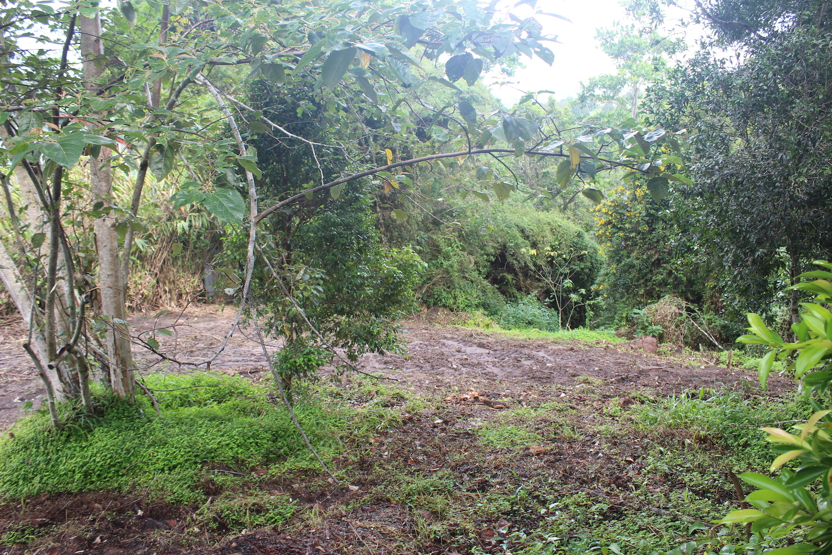 The Channon Properties Sold