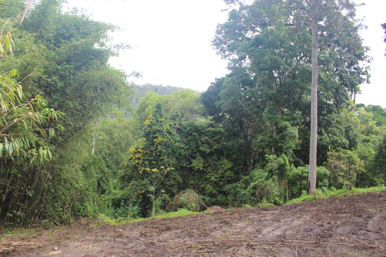 Real Estate in The Channon