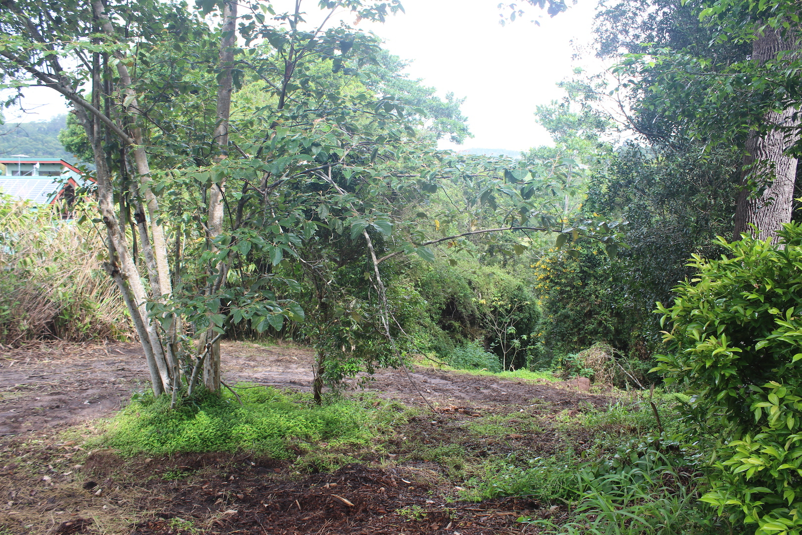 The Channon real estate Sold