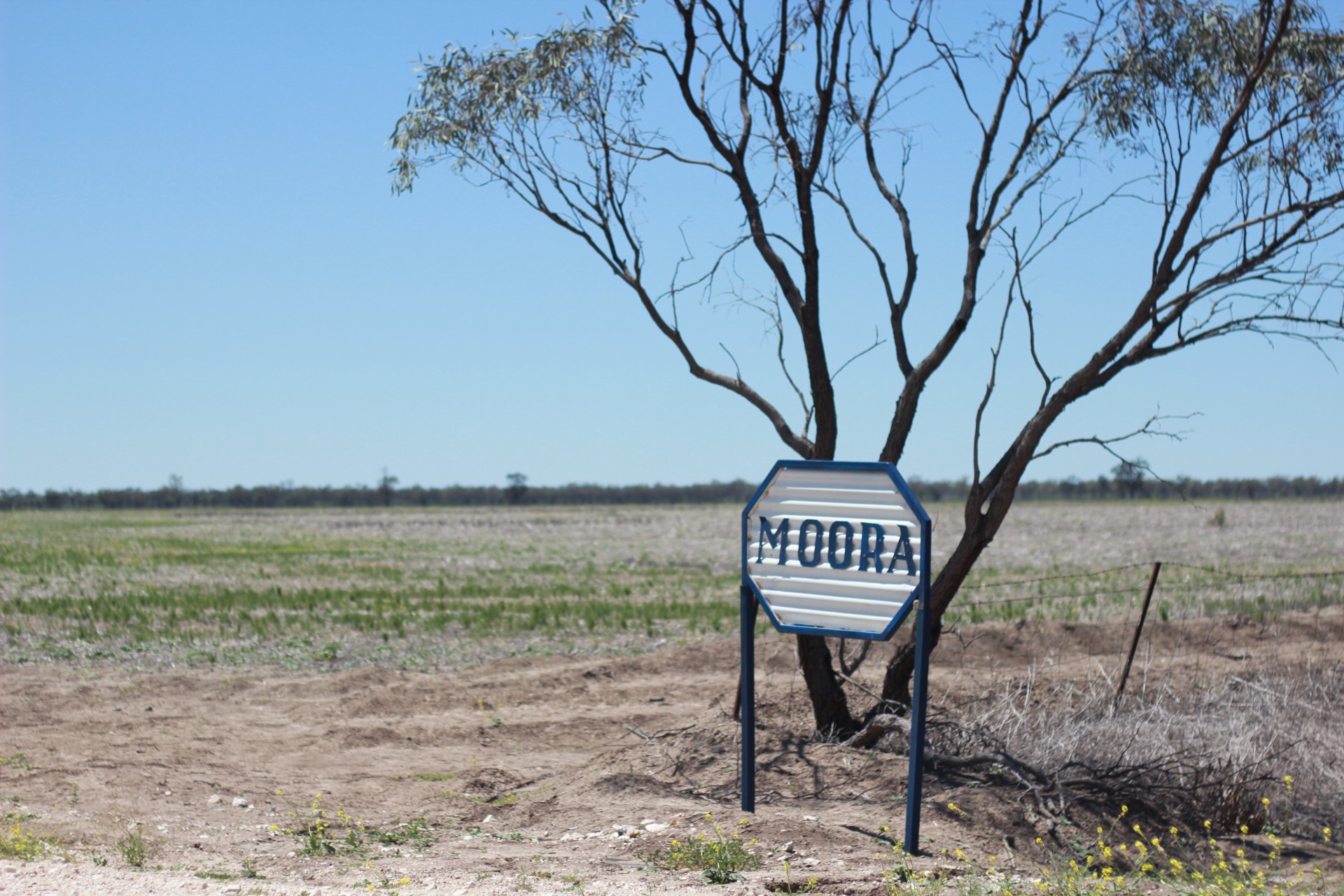 7428 Castlereagh Highway, Walgett > A J F Brien & Sons